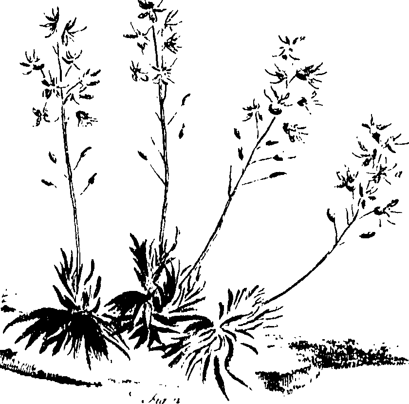 115/115850020100360_0.png