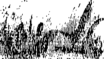 115/115850020100460_0.png