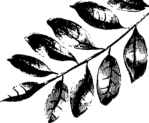 115/115850020100490_0.png