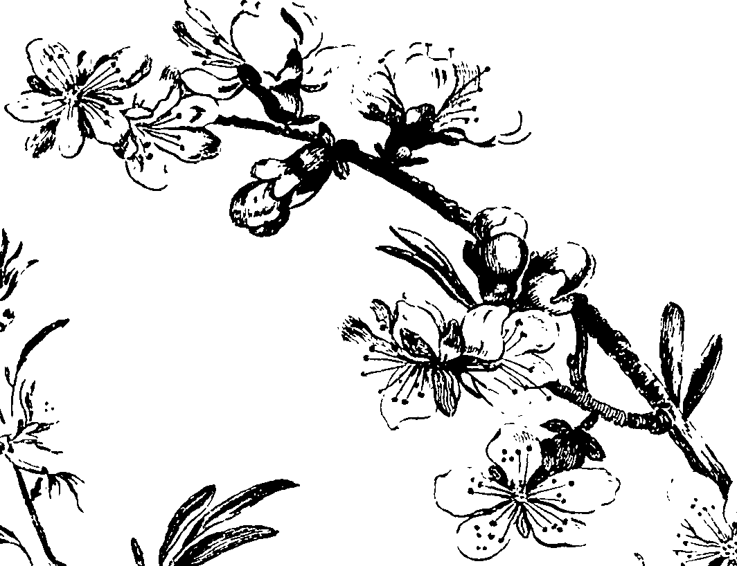 115/115850020100500_0.png