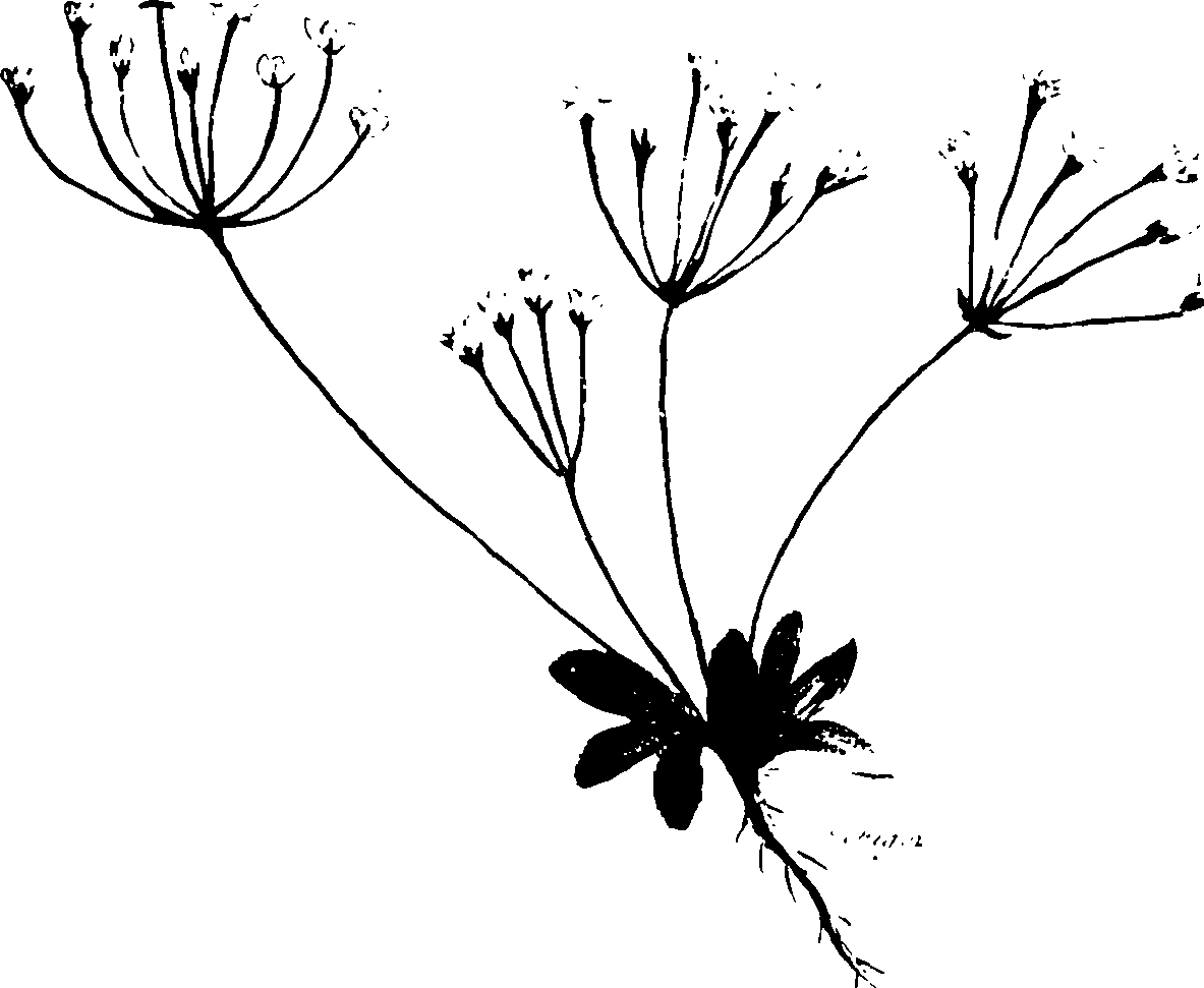 115/115850020100540_1.png