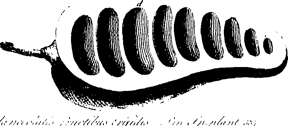 115/115850020100610_0.png