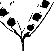 115/115850020100770_0.png