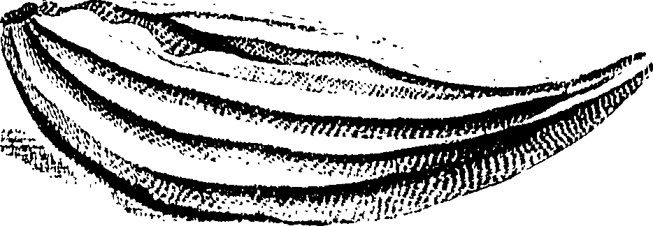 115/115850020100780_0.png
