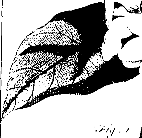 115/115850020100780_1.png