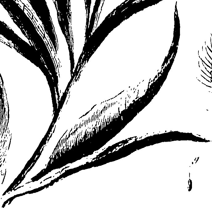 115/115850020100810_0.png