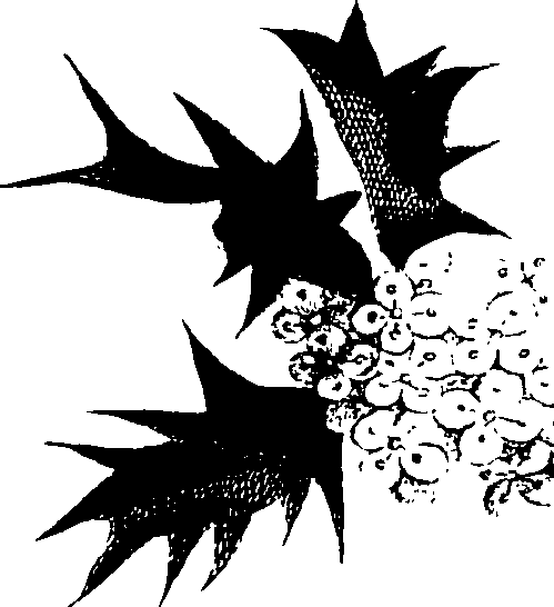 115/115850020100820_0.png