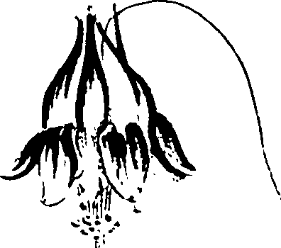 115/115850020100830_0.png