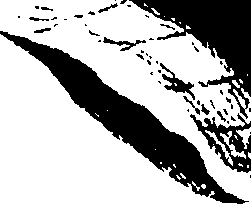 115/115850020100930_0.png