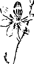 115/115850020101000_1.png