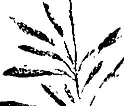 115/115850020101070_0.png