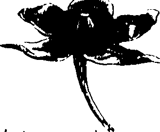 115/115850020101080_0.png