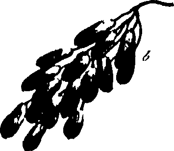 115/115850020101110_0.png