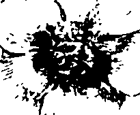 115/115850020101170_0.png