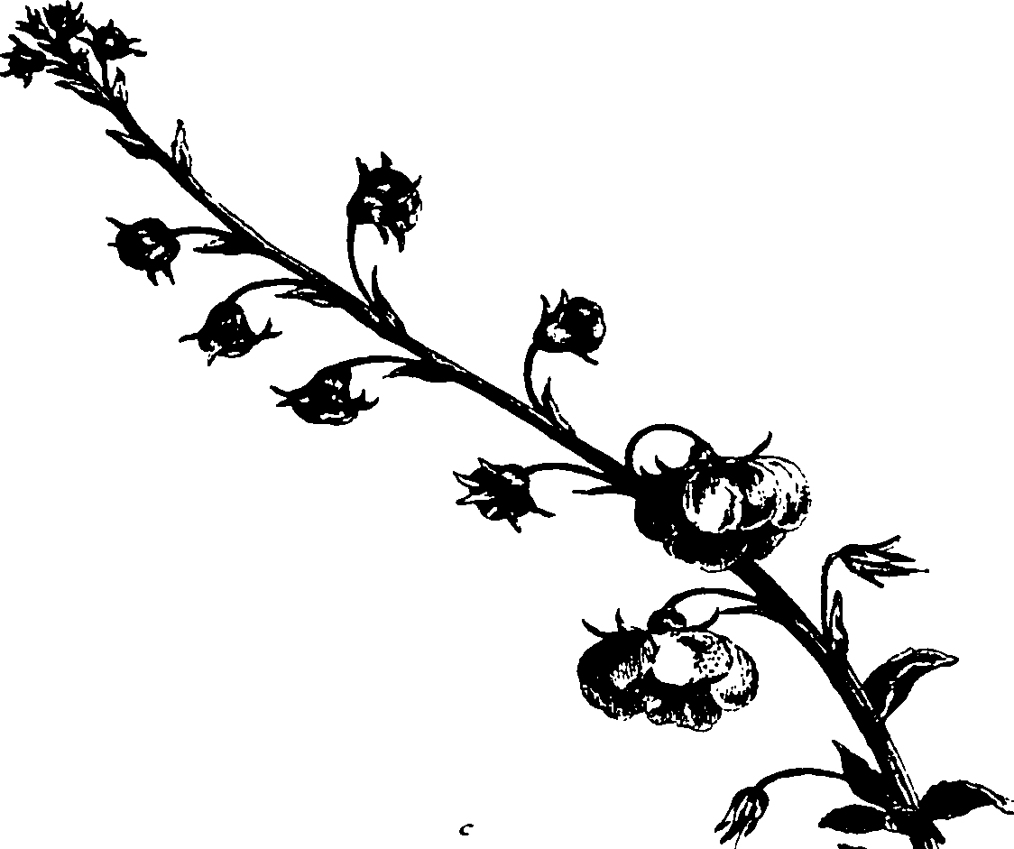 115/115850020101170_1.png