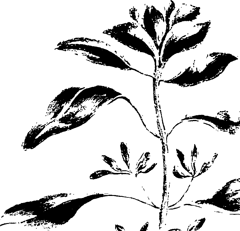 115/115850020101210_1.png