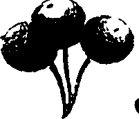 115/115850020101230_0.png