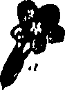 115/115850020101260_0.png