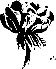 115/115850020101310_0.png