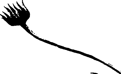 115/115850020101310_2.png