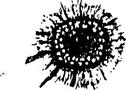 115/115850020101320_0.png