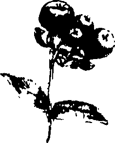 115/115850020101370_0.png