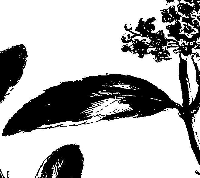 115/115850020101430_1.png