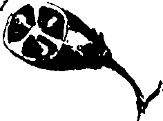 115/115850020101510_0.png
