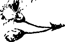 115/115850020101530_0.png