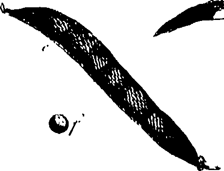 115/115850020101660_0.png