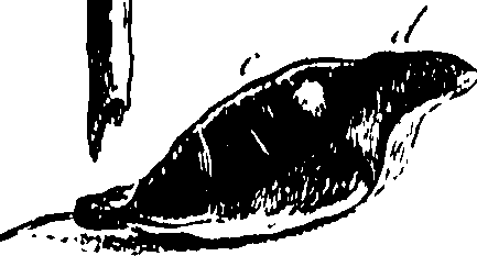 115/115850020101720_0.png