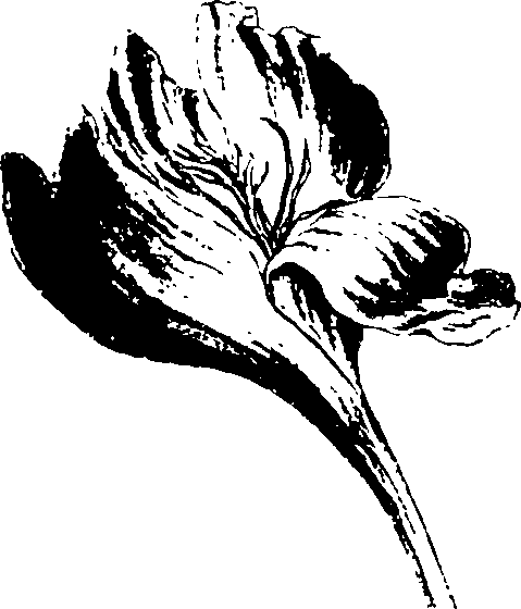 115/115850020101910_0.png