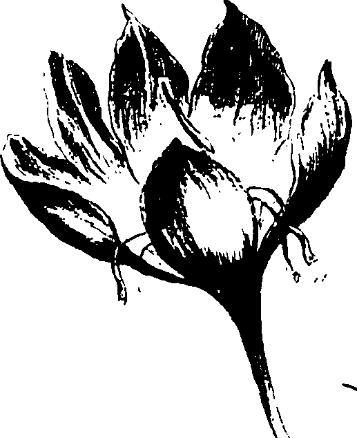 115/115850020101910_1.png