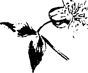 115/115850020101920_0.png