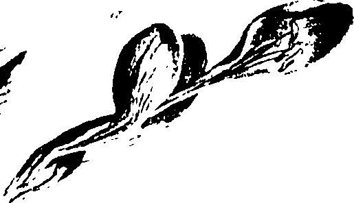 115/115850020101930_0.png