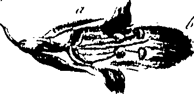 115/115850020102060_0.png
