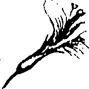 115/115850020102130_0.png