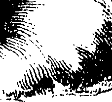 115/115850020102180_0.png