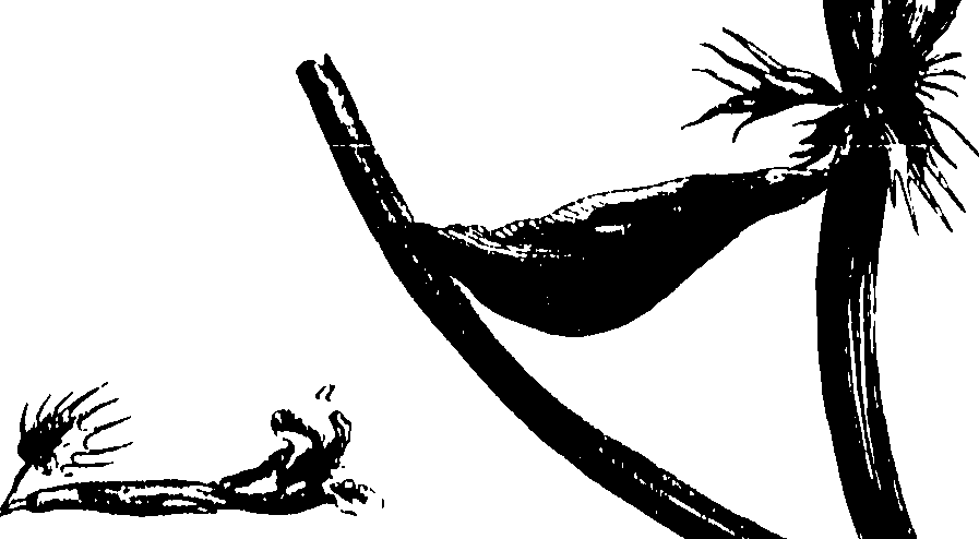 115/115850020102210_1.png