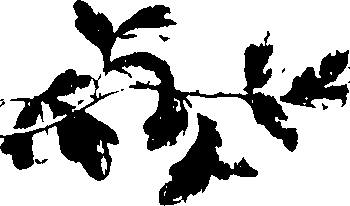 115/115850020102320_0.png