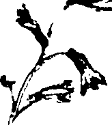 115/115850020102320_1.png
