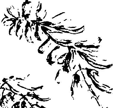 115/115850020102330_0.png