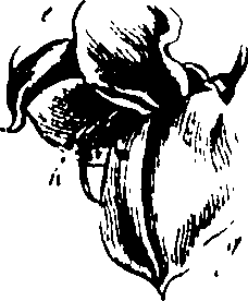 115/115850020102360_0.png