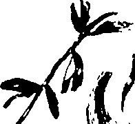 115/115850020102360_1.png