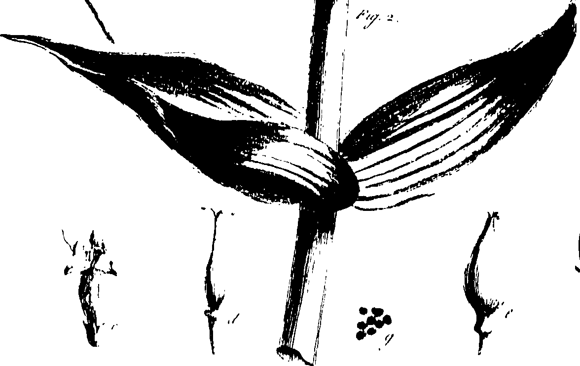 115/115850020102370_0.png