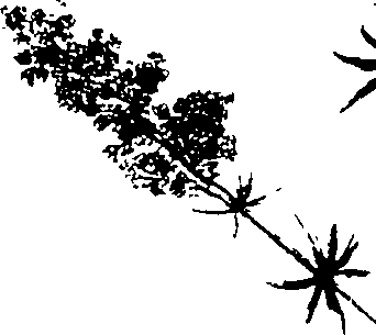 115/115850020102370_1.png