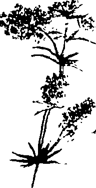 115/115850020102370_2.png