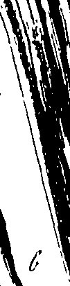 115/115850020102420_0.png