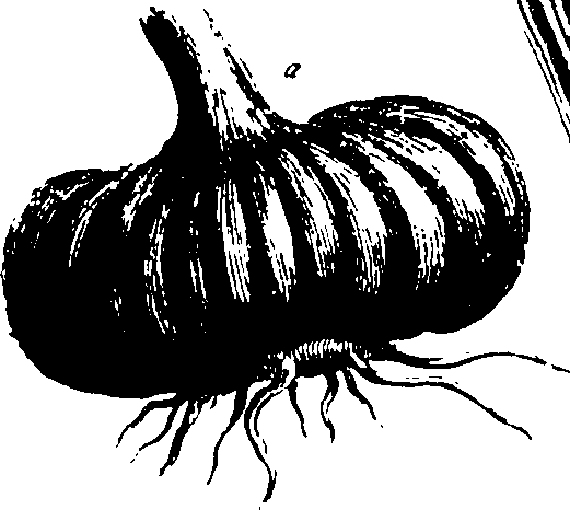 115/115850020102420_1.png