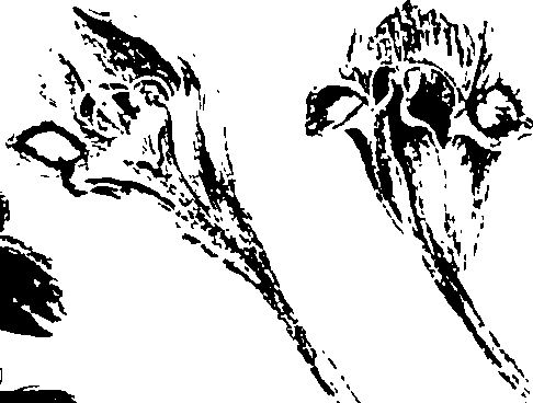 115/115850020102420_2.png